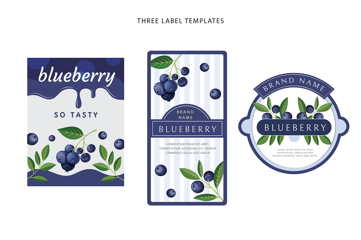 Delicious blueberries. Vector set., a Graphic by natamastery (Photo 5 of 7)