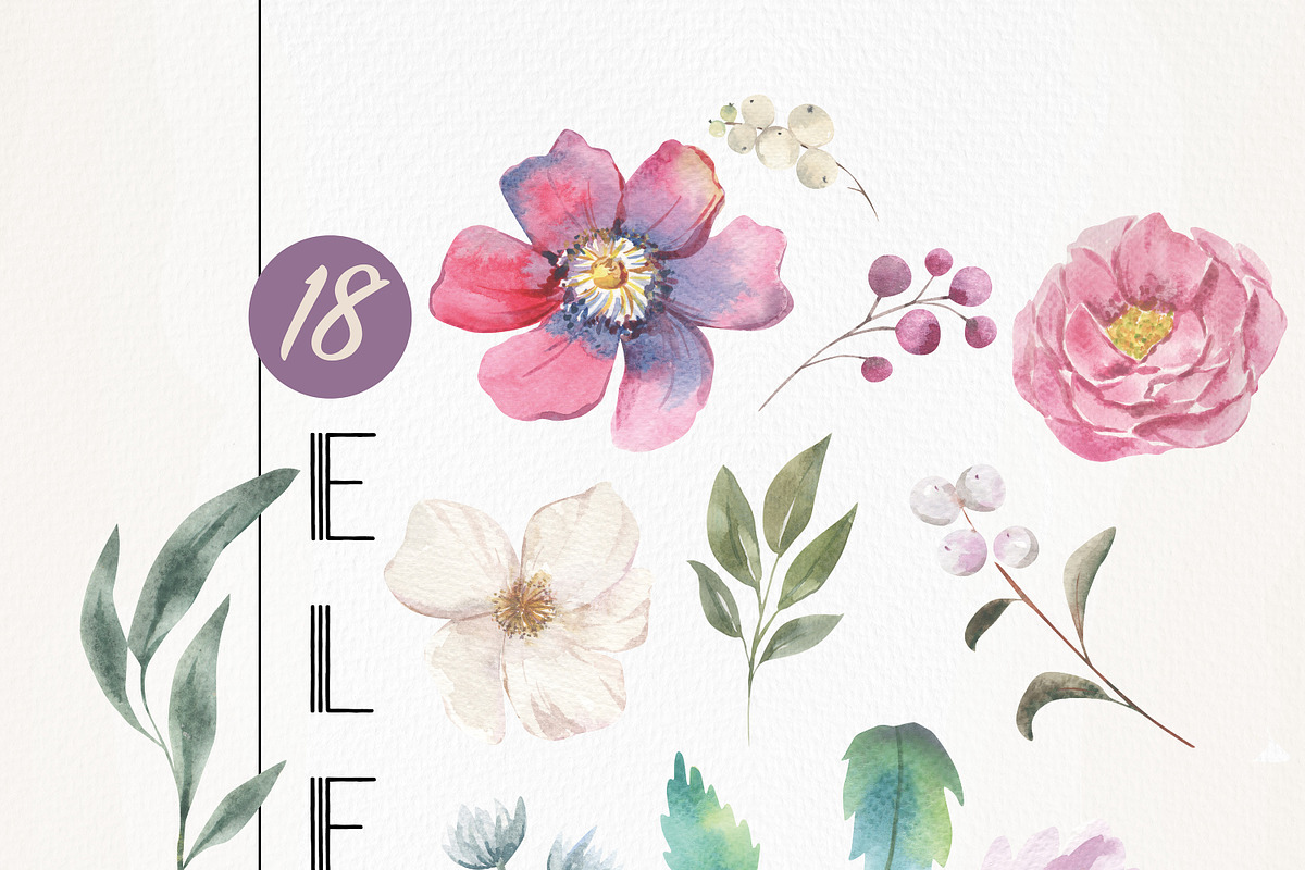 Vivid Watercolor Floral Clipart, an Illustration by Bloomella (Photo 5 of 5)