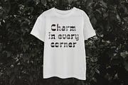 CS Lamont Drawn, a Serif Font by Craft Supply Co. (Thumbnail 7 of 8)