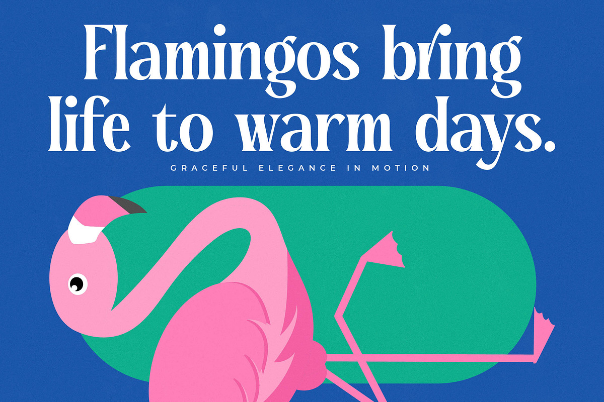 Regolvis Modern Display Serif, a Serif Font by timelesstype.co (Photo 16 of 20)