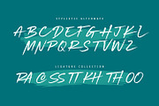 Beach Vibes, a Serif Font by din-studio.com (Thumbnail 9 of 10)