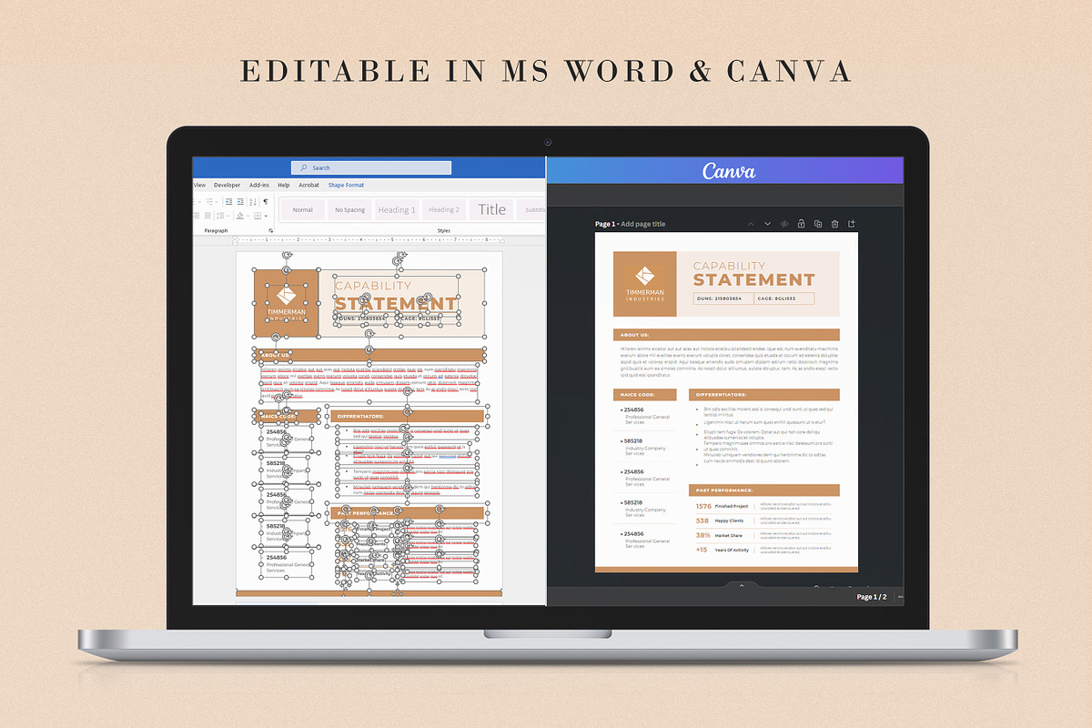 Capability Statement Template, a Stationery Template by Niofix (Photo 6 of 7)