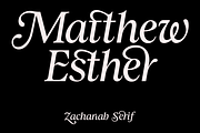 Zachariah Calligraphic Italic Serif, a Serif Font by Viswell (Thumbnail 3 of 10)