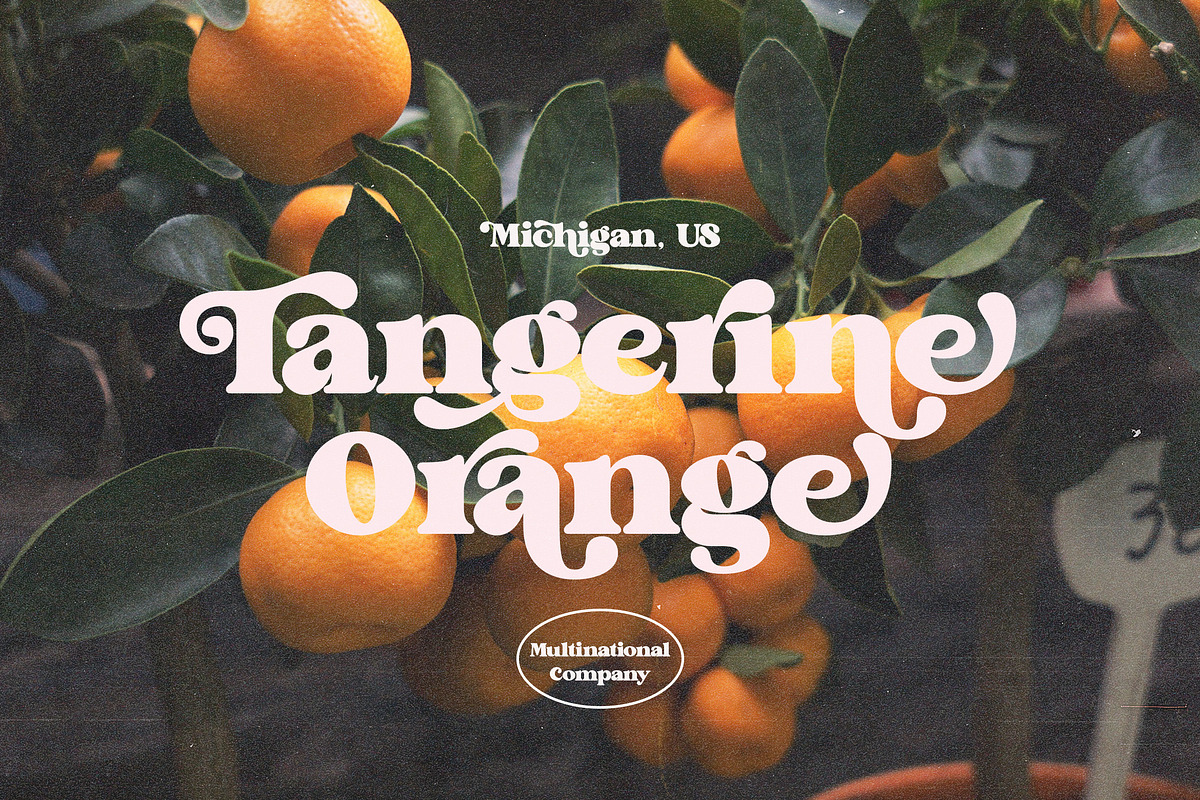 Brighton Vintage - Modern Serif Font, a Serif Font by dealitastudio (Photo 5 of 10)