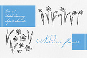 Narcissus LineArt Sketch Clipart Set, a Decorative Illustration by LiiaLonn Studio (Thumbnail 2 of 5)