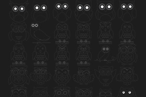 Cartoon Owl Set 2 Procreate Brush