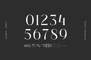 Giarek - Ligature Serif Font, a Serif Font by Nirmana Visual (Thumbnail 10 of 13)