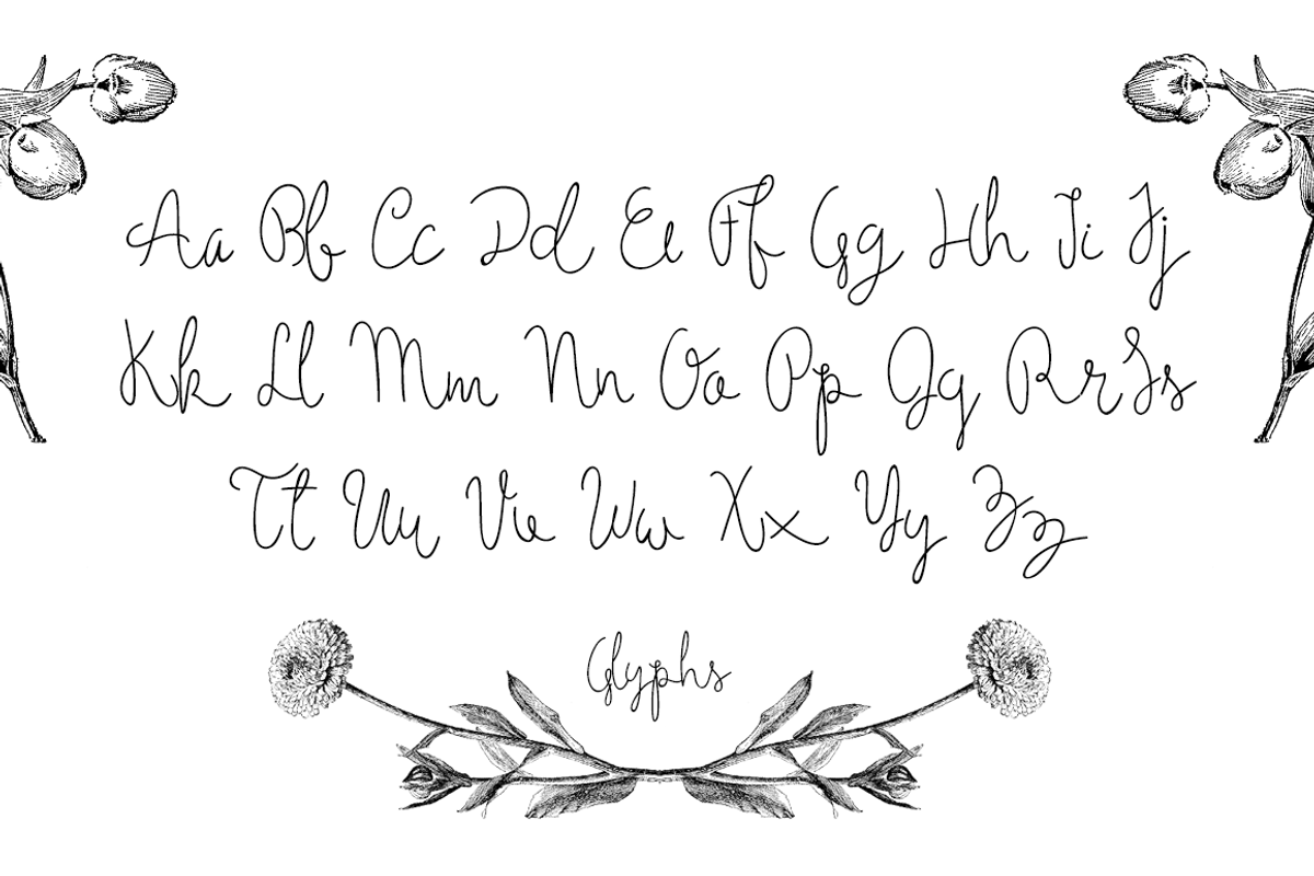Holga Script preview 2