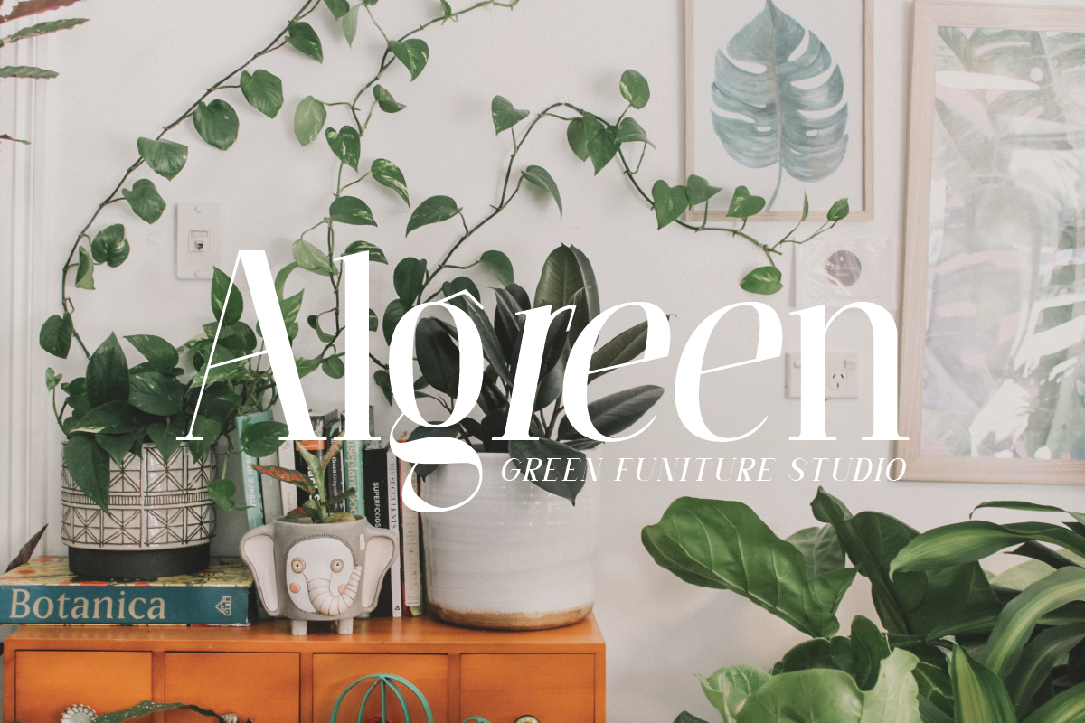 Perfect Moment, a Serif Font by Muksal Creative (Photo 4 of 12)