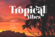 Wonder Magnolia Vintage Font, a Serif Font by supfonts (Thumbnail 7 of 10)