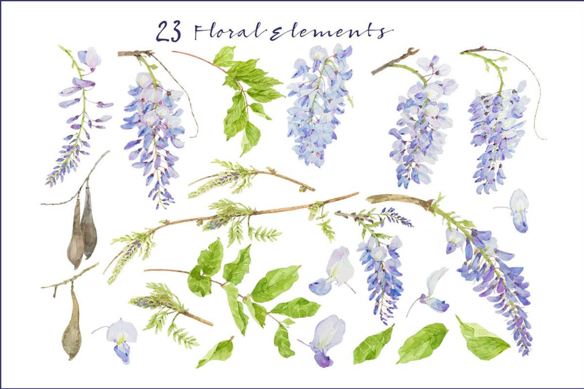Wisteria - Design Pack, an Illustration by watercolorwild.graphics (Photo 4 of 7)