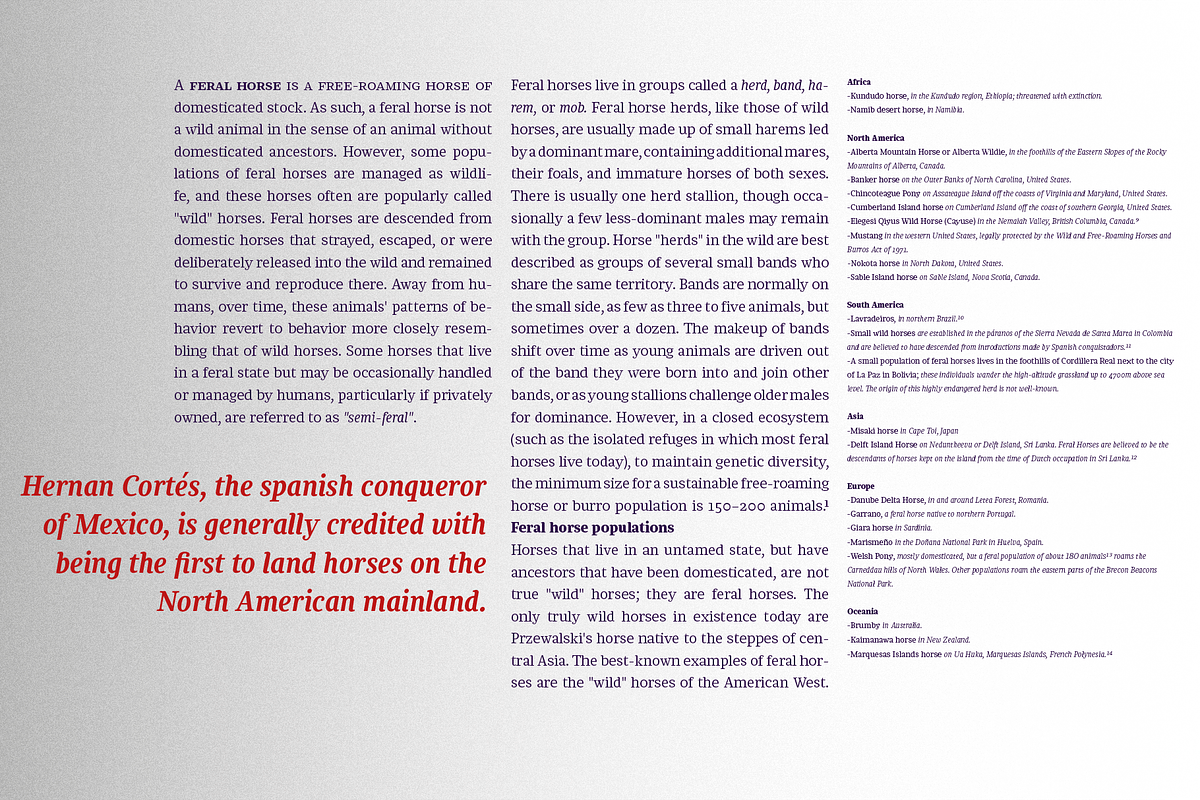 Chucara next, a Serif Font by Letritas (Photo 10 of 14)