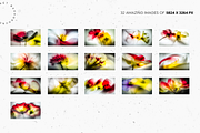 Blurred Summer Petals, a Nature Photo by Lumeno (Thumbnail 3 of 5)