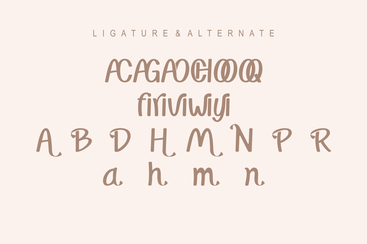 Ramina, a Serif Font by Kenrichi (Photo 8 of 9)