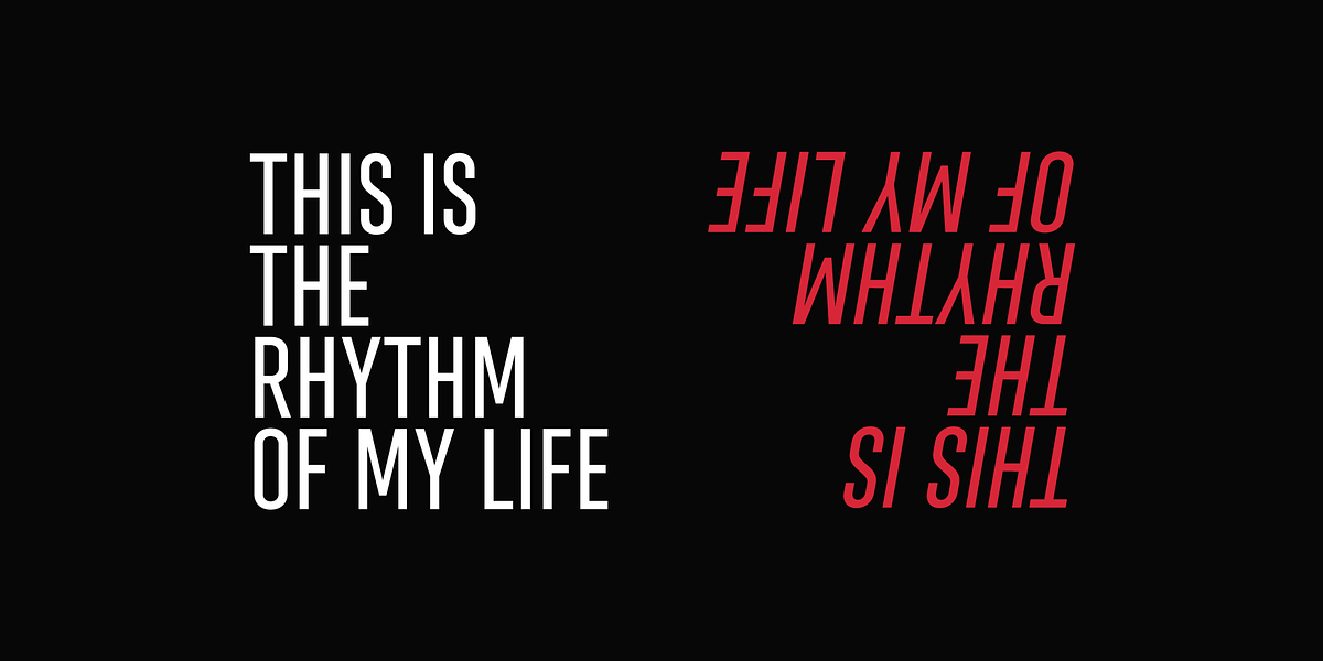 Steclo, a Sans Serif Font by Pepper Type (Photo 9 of 11)