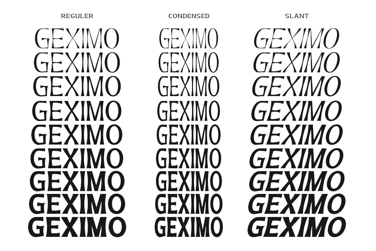 Geximo Family, a Sans Serif Font by IM Studio (Photo 12 of 12)