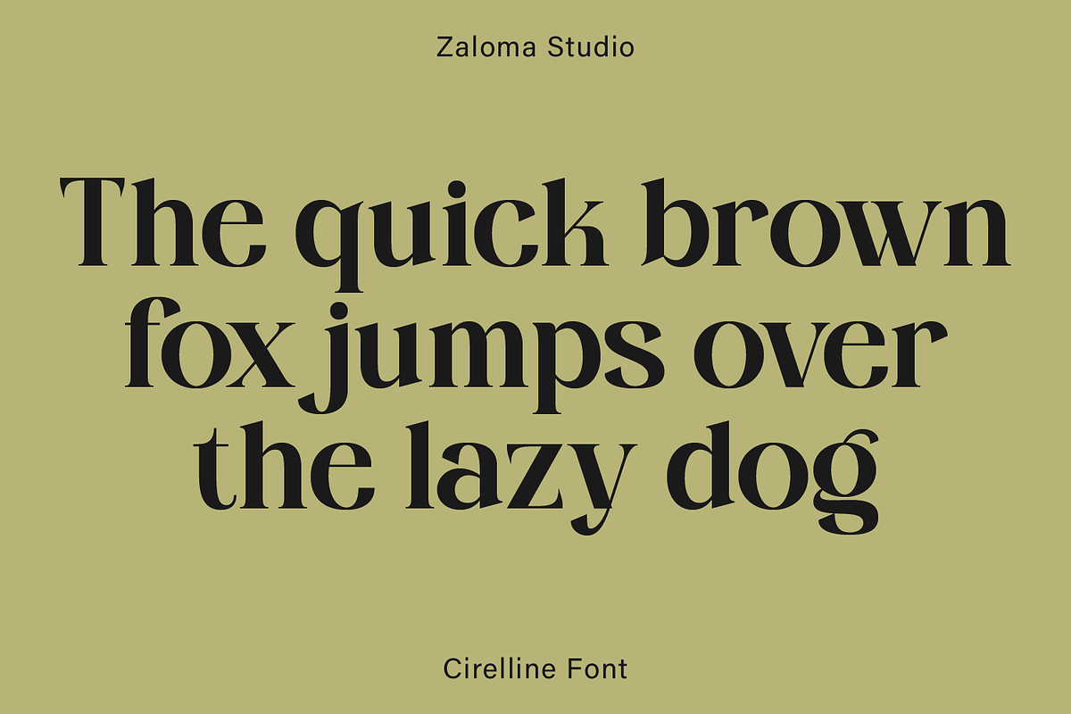 Cirelline, a Serif Font by Zaloma Studio (Photo 12 of 19)