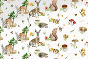 Forest watercolor designer toolkit, an Animal Illustration by Elegantia (Thumbnail 26 of 28)