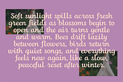 BLANCHE Elegant Script Font, a Script Font by Blush Font Co. (Thumbnail 4 of 5)
