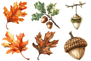 Watercolor Acorns & Oak Leaves PNG, an Illustration by Craft Nest (Thumbnail 3 of 6)