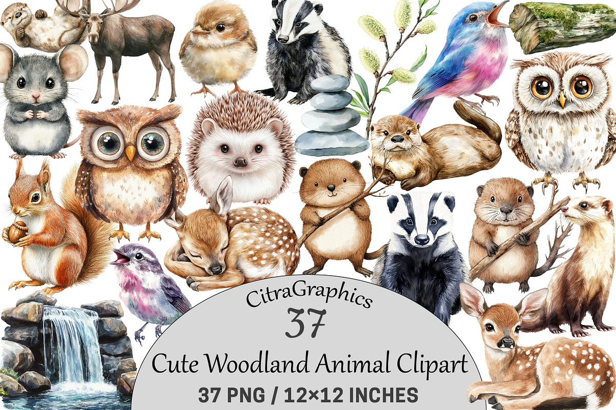 Cute Woodland Animal Clipart, an Illustration by CitraGraphics (Photo 1 of 5)