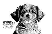 Dog Photo to Tracing Action, an Action Add-On by Photoshop Action (Thumbnail 1 of 10)