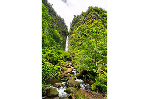 Beautiful Trafalgar Falls in