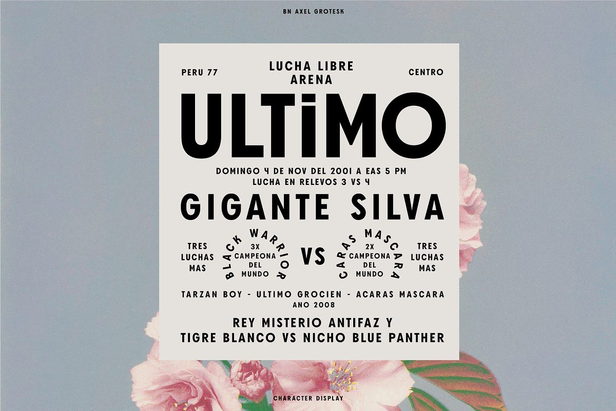 Axel Grotesk - A Sans Serif Typeface, a Sans Serif Font by Bnick (Photo 7 of 10)