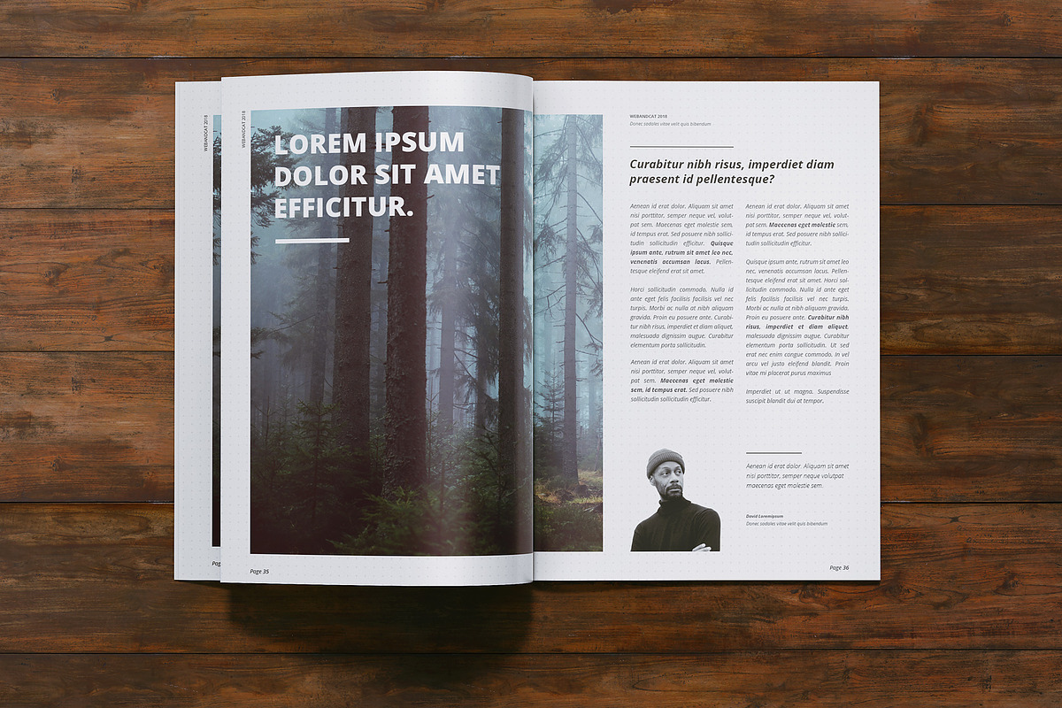A4 Magazine | Brochure Mock-up, a Books & Magazine Mockup by WebAndCat (Photo 14 of 32)