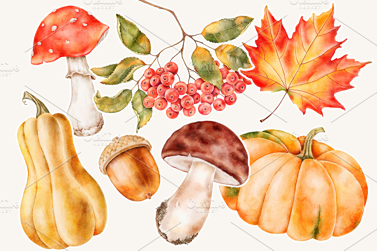 Autumn, Fall watercolor clipart, a Seasonal Illustration by Eves_Aquadreams (Photo 11 of 12)