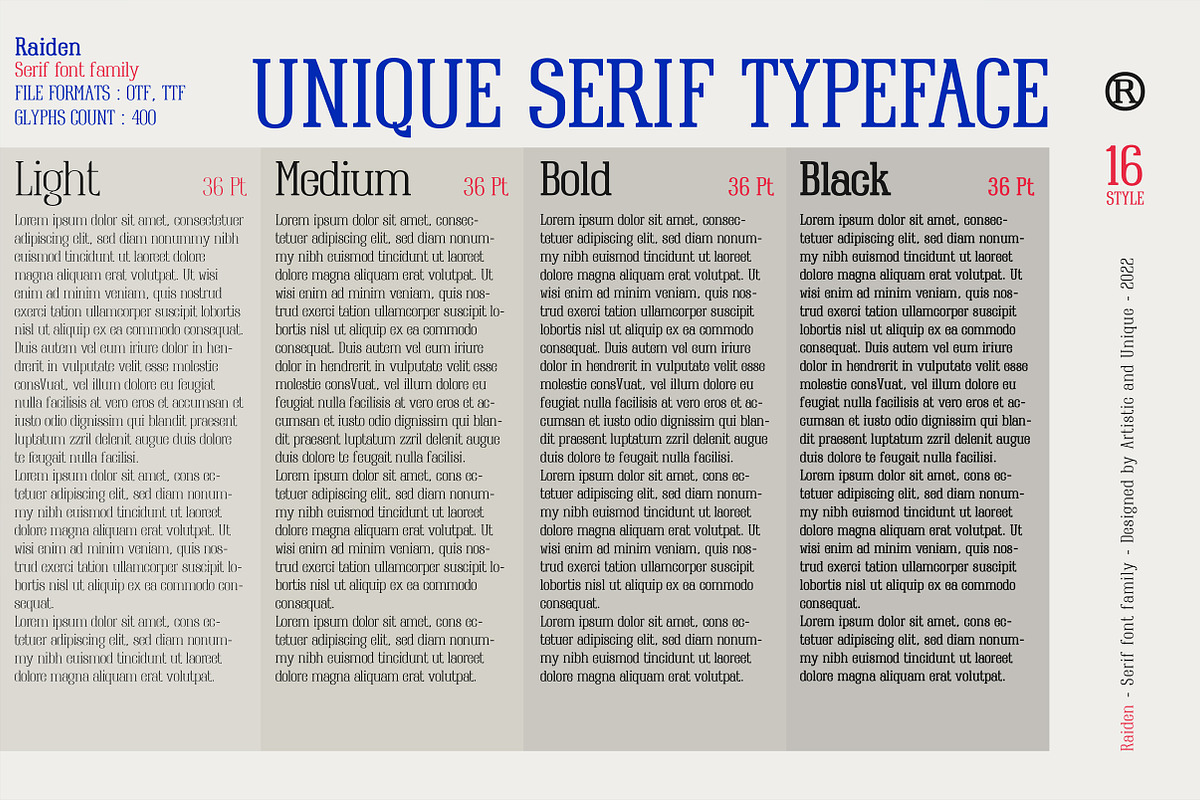 Raiden - Serif font family, a Serif Font by Artistic & Unique (Photo 13 of 13)