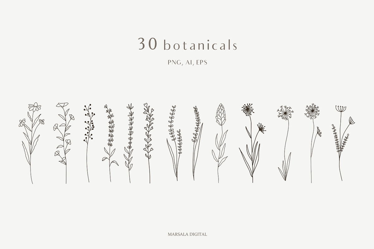 Botanical Line Art Illustrations V1, a Texture Illustration by Kaya Fonts (Photo 3 of 9)