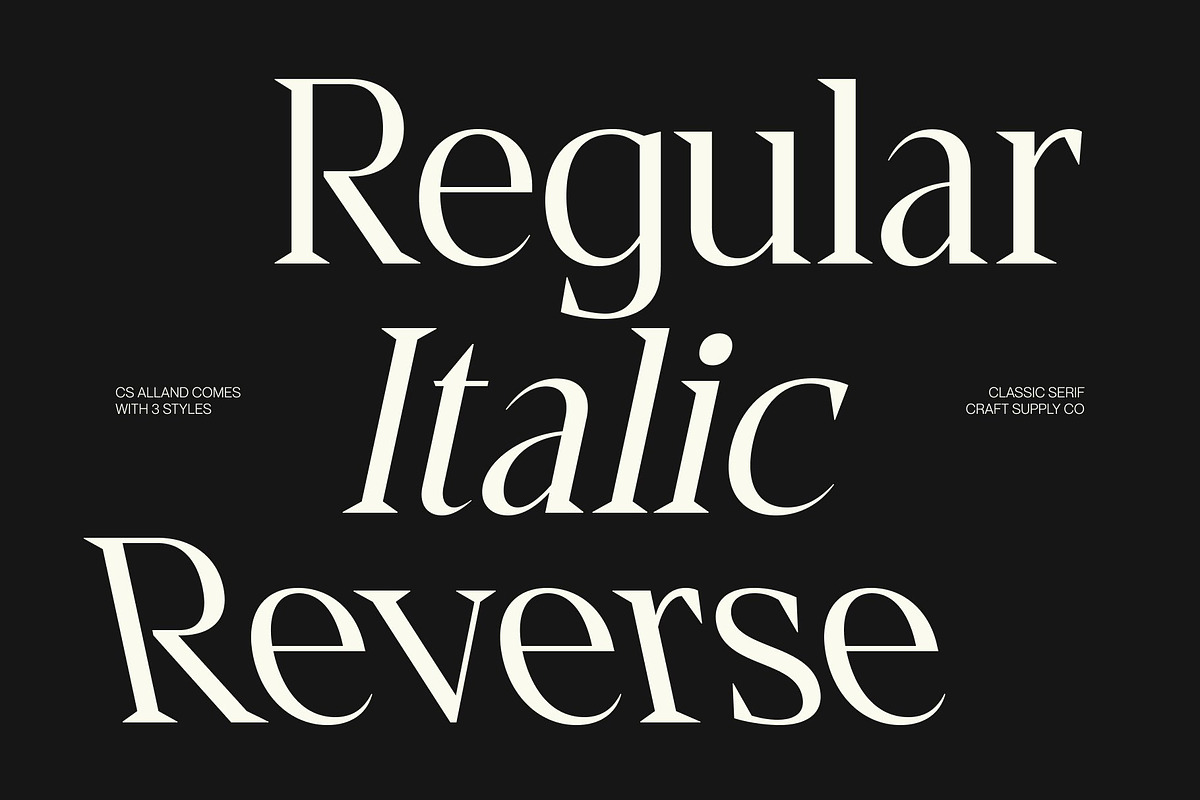CS Alland – Classic Serif Font, a Serif Font by Craft Supply Co. (Photo 6 of 8)