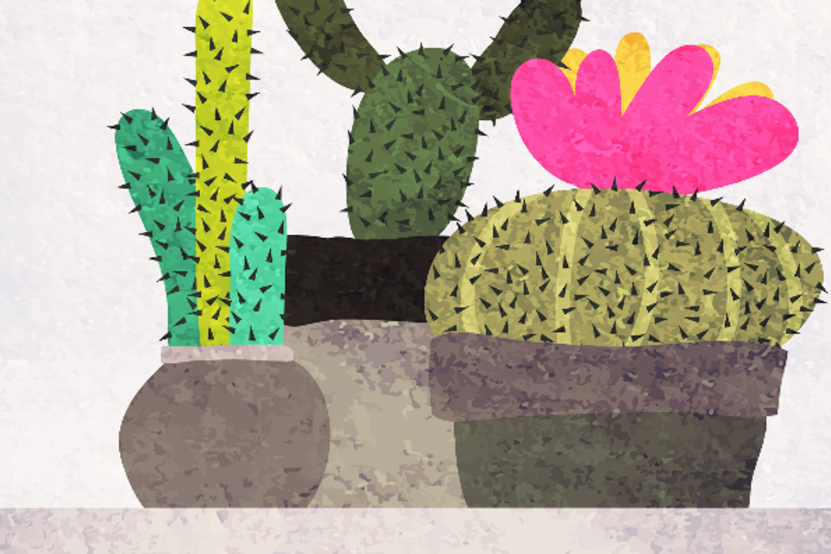 succulents and cactuses, a Decorative Illustration by Jema's (Photo 1 of 2)