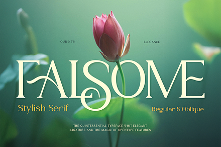 Falsome, a Serif Font by Burntilldead