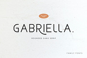 Gabriella - Modern Sans Serif, a Sans Serif Font by Bluestype Studio (Thumbnail 1 of 8)