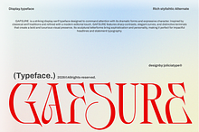 Gafsure | Modern Serif