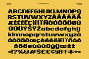 Readfine Extended, a Sans Serif Font by Glyphminds Studios (Thumbnail 10 of 10)