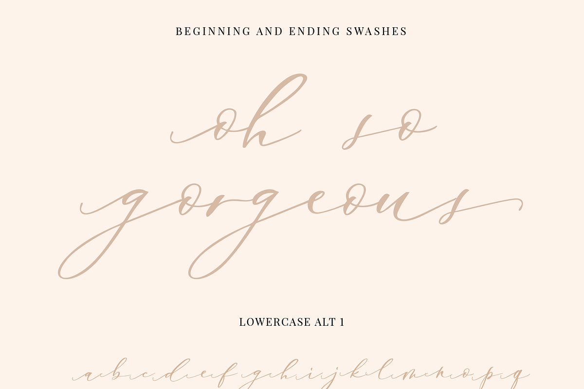 Enchantress | Luxury Script, a Script Font by theinkaffair (Photo 9 of 9)