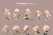Flowers - watercolor illustrations, a Decorative Illustration by AI Crafted Magnolia (Thumbnail 4 of 13)