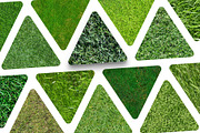 20 Seamless Grass Texture Pack, a Texture Graphic by Top Textures (Thumbnail 5 of 9)