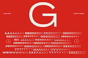 GC Monza - Complex Modern Sans, a Sans Serif Font by Glyphonic (Thumbnail 2 of 31)