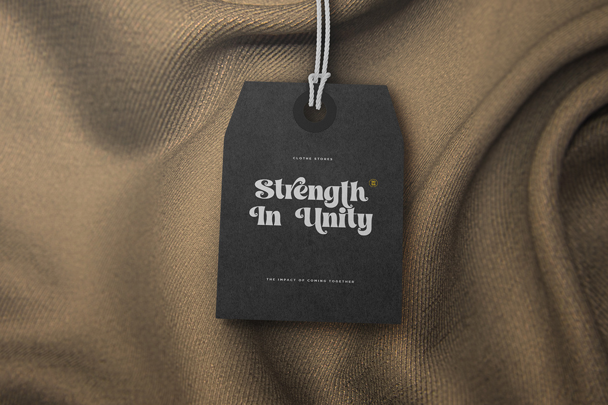 Maison Paris - Modern Stylish Font, a Serif Font by Shakira Studio (Photo 9 of 15)