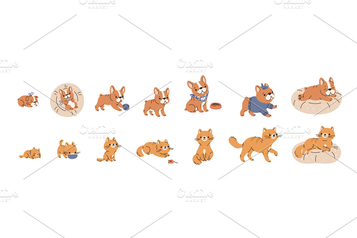 Pets growth stages. Funny domestic, an Animal Illustration by YummyBuum