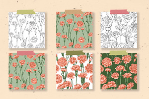 Flowers Arnation. Sketch Vector