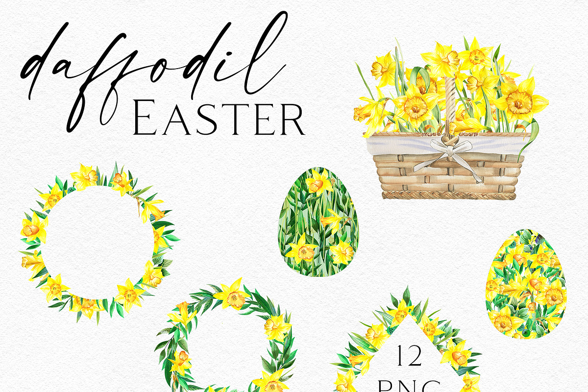 Watercolor Sunny Daffodils, an Illustration by Olga Koelsch (Photo 3 of 9)