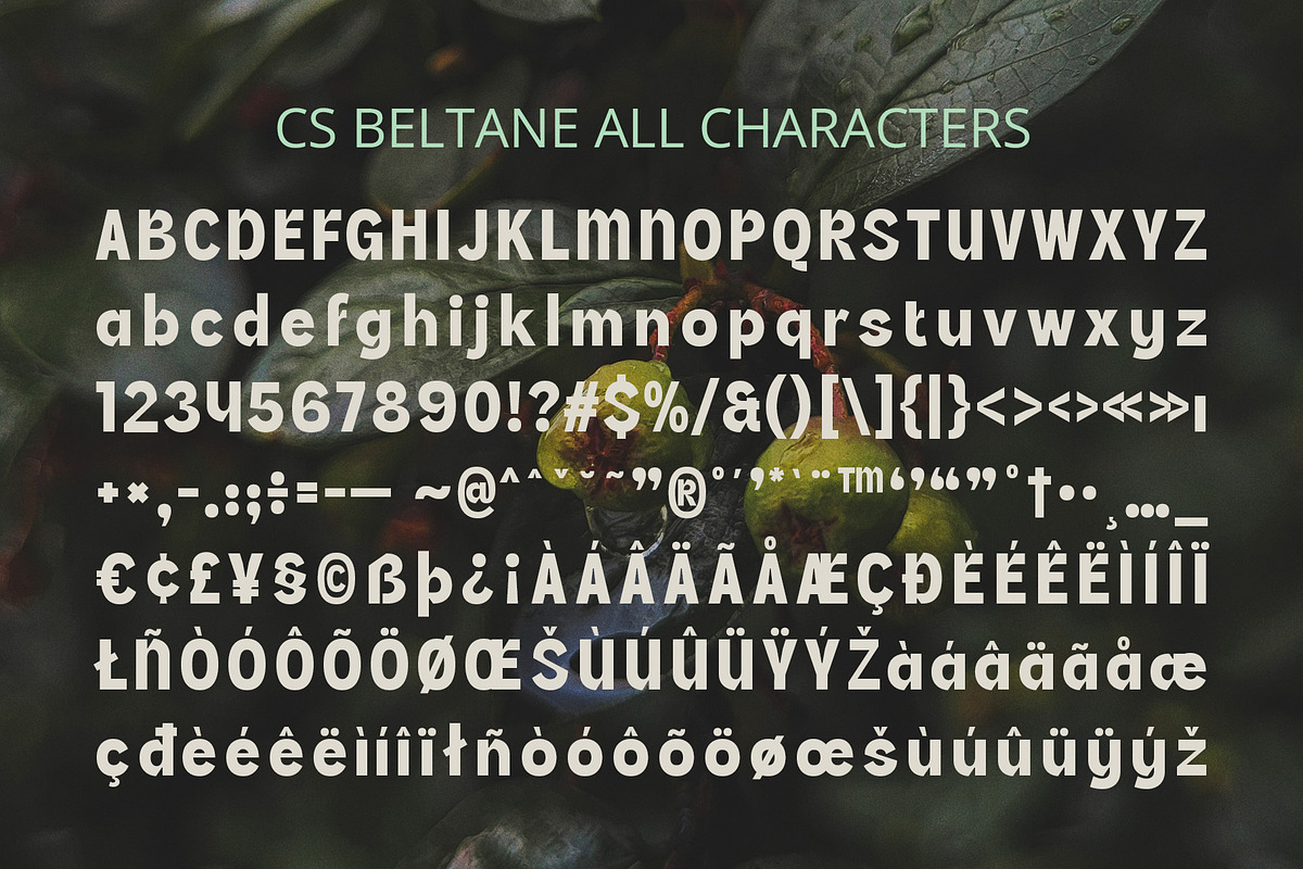CS Beltane – Bold Font, a Sans Serif Font by Craft Supply Co. (Photo 5 of 8)
