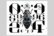 Akadis Display Font, a Serif Font by Tondi Type Studio (Thumbnail 14 of 18)