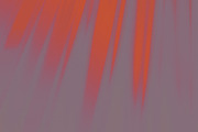 Temporal Two, a Texture Graphic by Clear Supply (Thumbnail 12 of 17)
