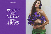 OrchidFunk - Classic Serif Font, a Serif Font by BilberryCreates (Thumbnail 13 of 14)